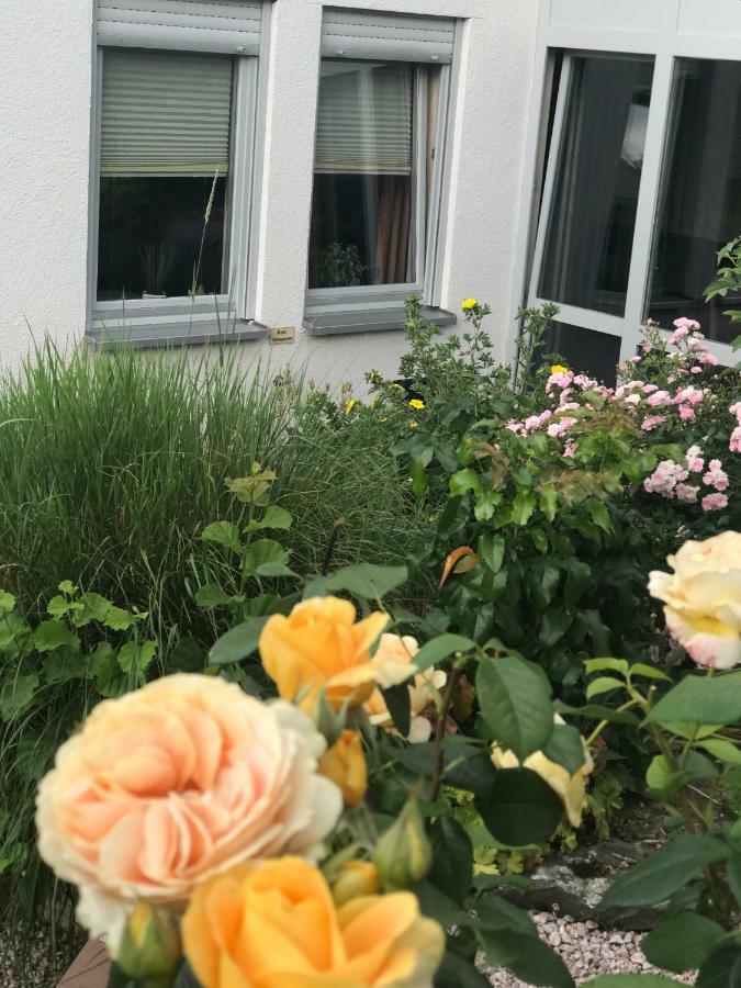 Ernst-Ludwig-Promenade Apartment Bensheim Bagian luar foto